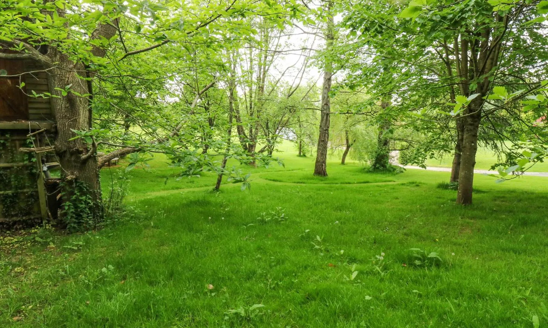 Treetops Newton Poppleford United Kingdom